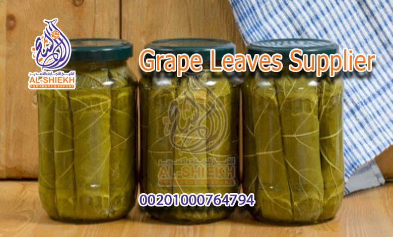 Grape Leaves Supplier