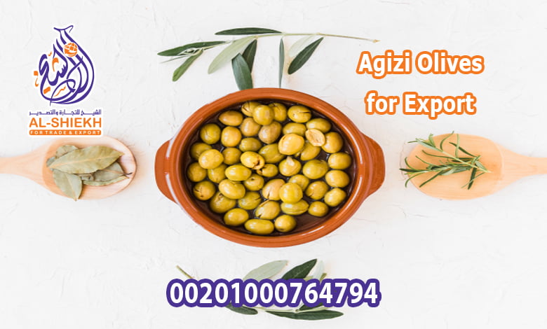 Agizi Olives For Export