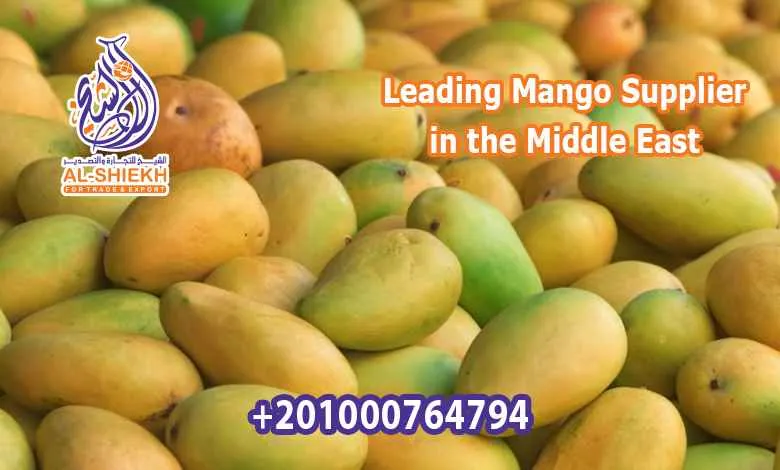 Mango Supplier