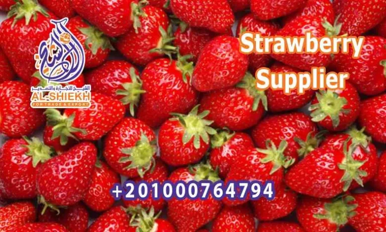 Strawberry Supplier