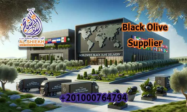 Black Olive Supplier