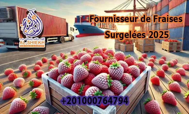 Fournisseur de Fraises