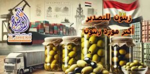 اكبر مصنع زيتون للتصدير في مصر