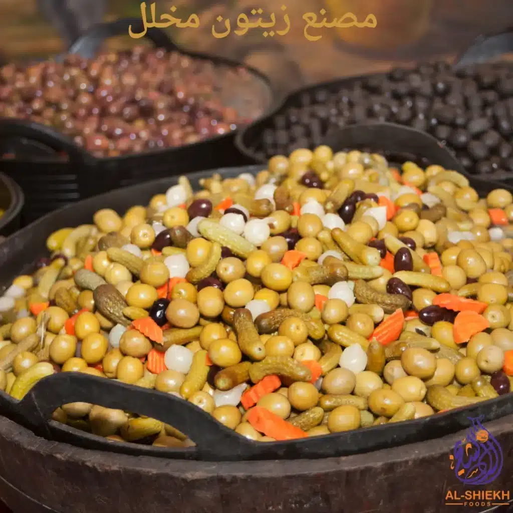 مصنع زيتون مخلل