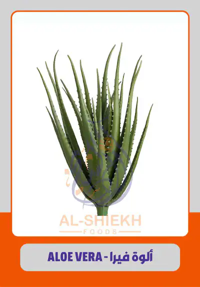 Herbs and Natural Products - Al-Shiekh Trade and Export
