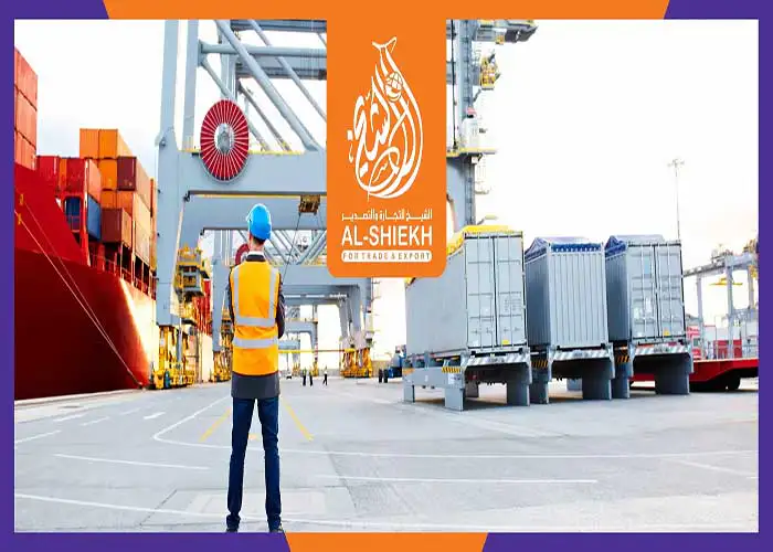 Shipping-2-scaled co44py copy