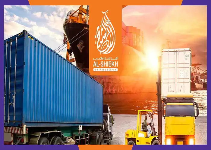 Shipping-3-scaled co55py copy