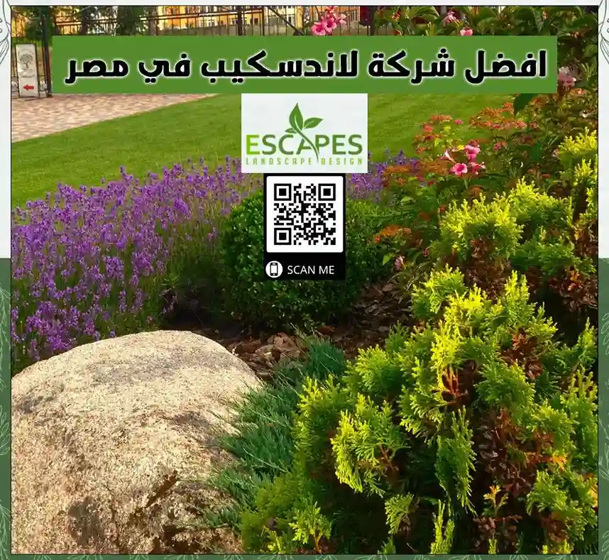 شركة تصميم حدائق لاندسكيب