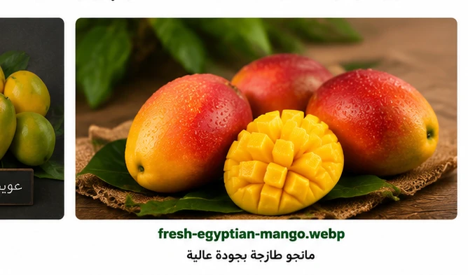 تصدير المانجو المصرية الطازجة من مصر