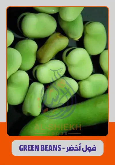 Broad Beans for export from Egypt