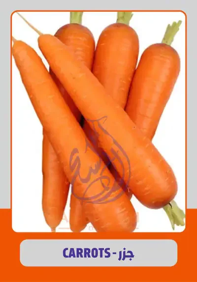 Carrots for export from Egypt
