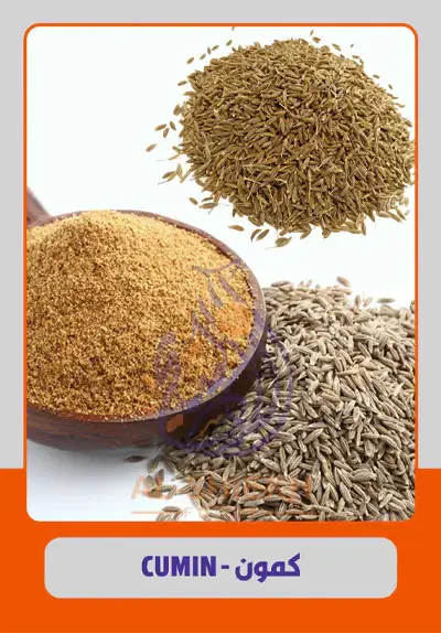 Cumin Seeds from Egypt for commercial supply and export