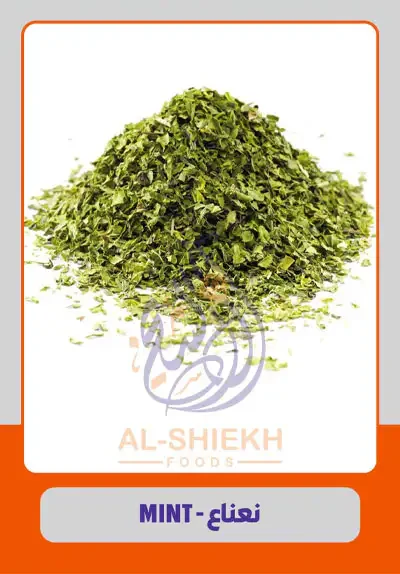 Dried Mint from Egypt for commercial supply and export
