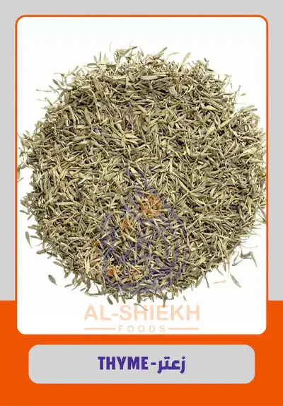 Dried Thyme from Egypt for commercial supply and export