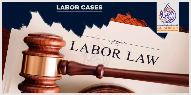 Employment and labor law services in Egypt