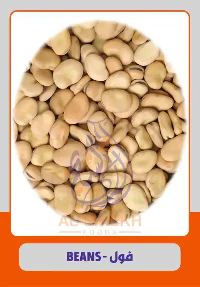 Fava beans supplied from Egypt