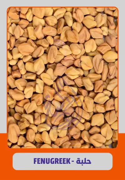 Fenugreek Seeds from Egypt for commercial supply and export