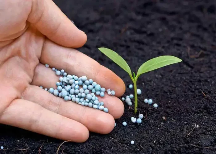 Chemical fertilizers export from Egypt through Al-Shiekh Trade and Export