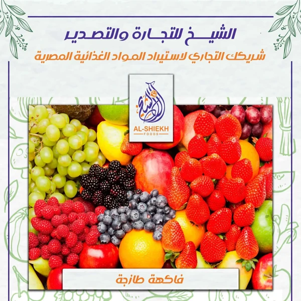 فاكهة طازجة مصرية للتوريد والتصدير