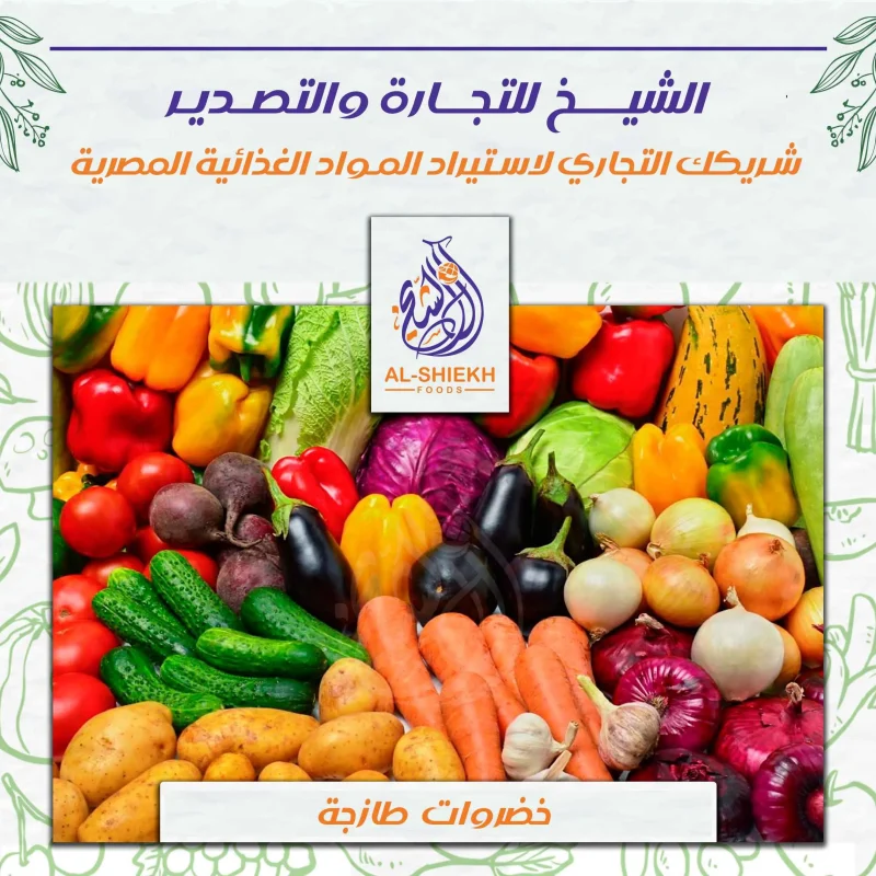 خضروات طازجة مصرية للتصدير