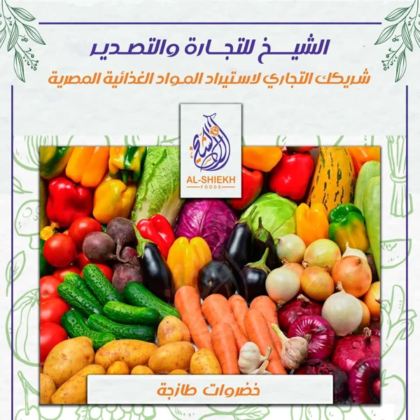 خضروات طازجة مصرية للتوريد والتصدير