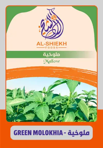 ملوخية مجمدة للتصدير من مصر