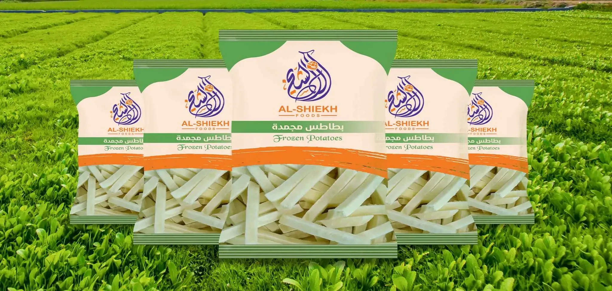 خضروات ومنتجات غذائية مصرية للتصدير