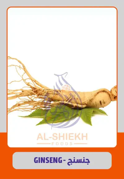 Ginseng from Egypt for commercial supply