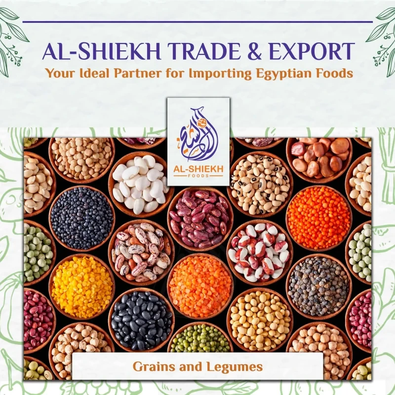 Grains and legumes from Egypt