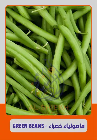 Green Beans for export from Egypt