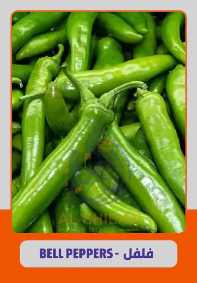 Green Peppers for export from Egypt