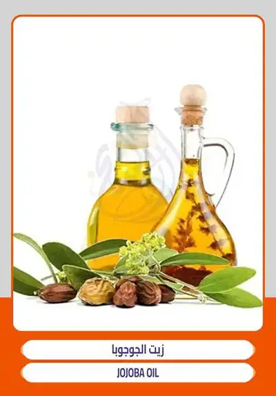زيت الجوجوبا ضمن زيوت التجميل والعناية عبر الشيخ للتجارة والتصدير