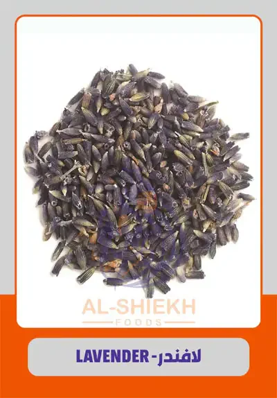 Lavender from Egypt for commercial supply