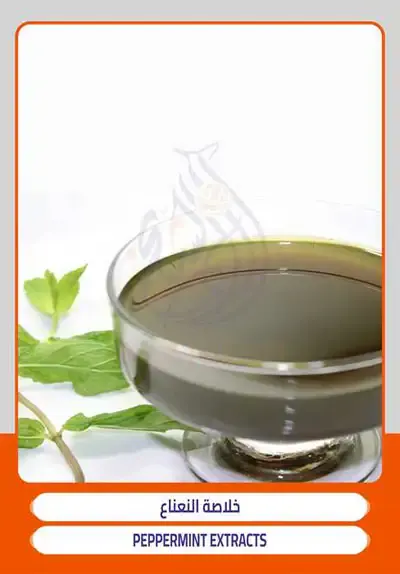خلاصة النعناع ضمن مستخلصات التجميل عبر الشيخ للتجارة والتصدير