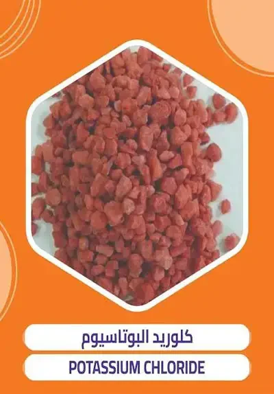 Potassium chloride export from Egypt