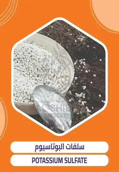 Potassium sulfate export from Egypt