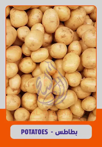 Potatoes for export from Egypt