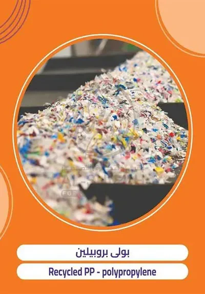 Recycled PP polypropylene for export from Egypt