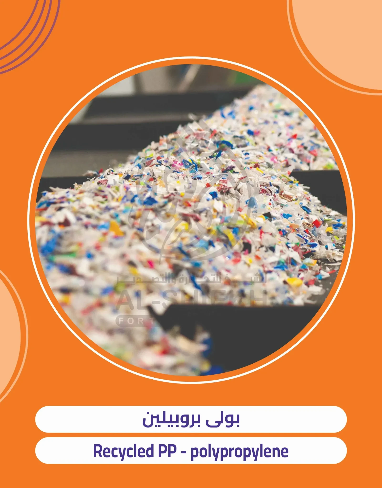 إعادة تدوير البلاستيك وبولي بروبيلين معاد التدوير