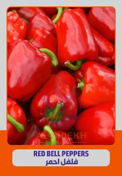Red Bell Peppers for export from Egypt