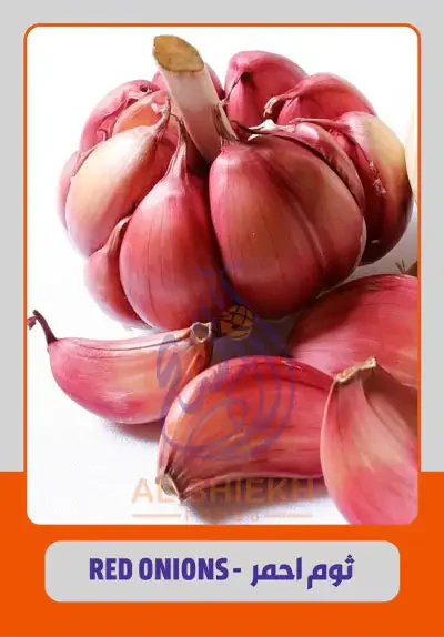 Red Garlic for export from Egypt