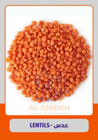 Red lentils bulk supply from Egypt