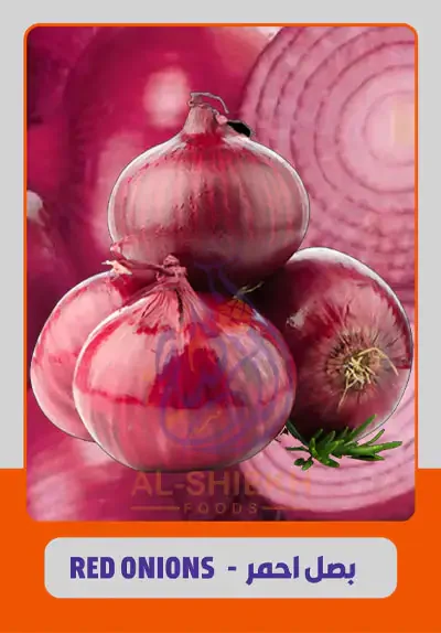 Red Onions for export from Egypt