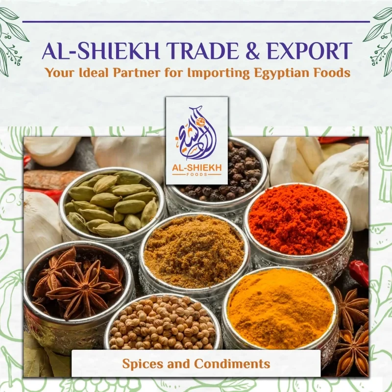 Egyptian spices and condiments