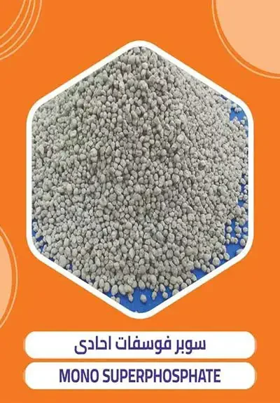 SSP fertilizer export from Egypt