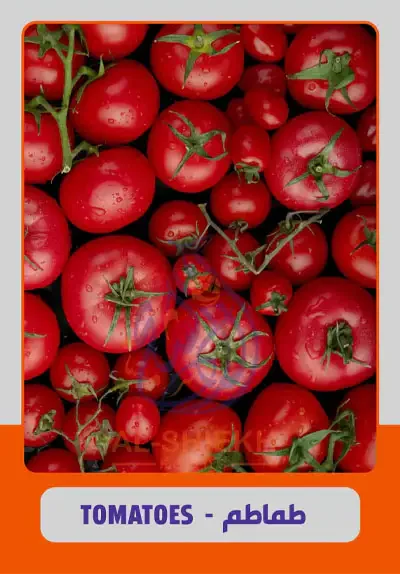 Tomatoes for export from Egypt