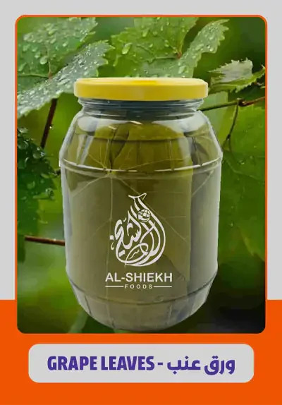 Grape Leaves for export from Egypt