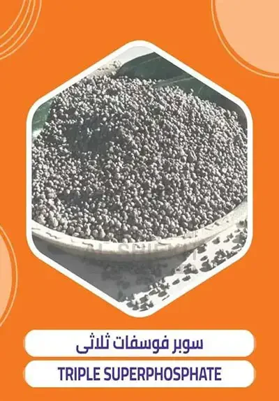 TSP fertilizer export from Egypt