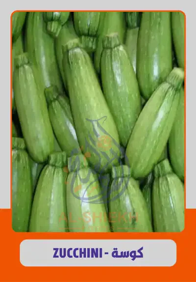 Zucchini for export from Egypt